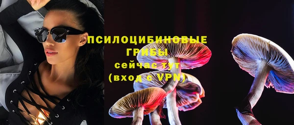 стафф Бородино