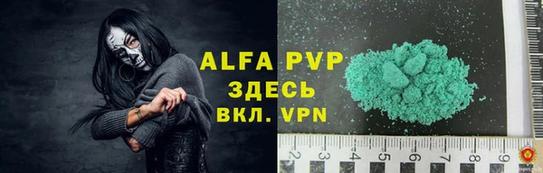 PSILOCYBIN Бронницы