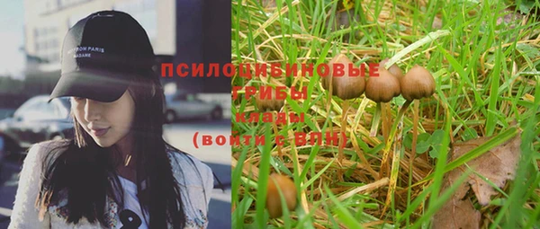 таблы Верея