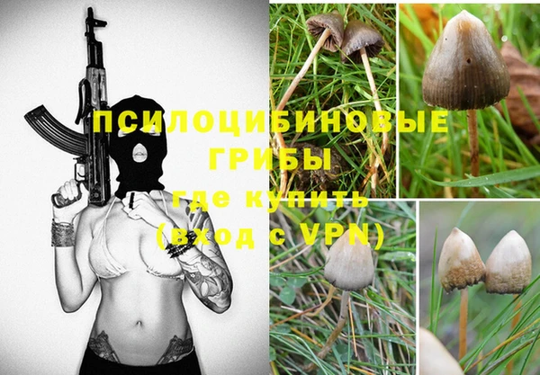 стафф Бородино