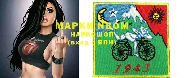 стафф Бородино