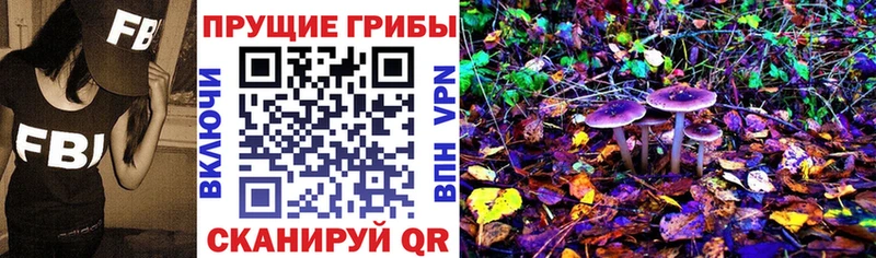 цена наркотик  Среднеколымск  Галлюциногенные грибы Psilocybine cubensis 