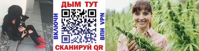 Шишки марихуана сатива  блэк спрут сайт  Среднеколымск 